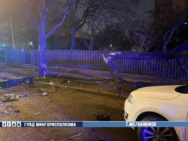 В Минске водитель врезался в дерево на Орловской