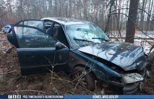 В Речицком районе водитель врезалась в дерево: пострадал ребенок В Речицком районе водитель врезалась в дерево: пострадал ребенок