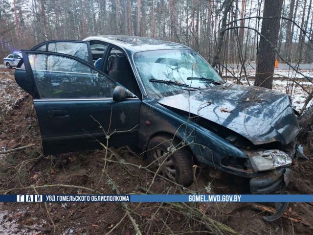 В Речицком районе водитель врезалась в дерево: пострадал ребенок