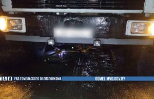 В Рогачеве насмерть сбили велосипедиста В Рогачеве насмерть сбили велосипедиста