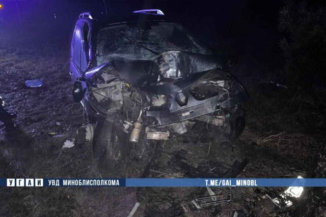 В аварии Слуцком районе женщина-пассажир скончалась в больнице В аварии Слуцком районе женщина-пассажир скончалась в больнице