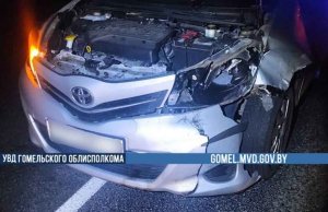 В Речицком районе водитель сбил кабана — пострадал пассажир В Речицком районе водитель сбил кабана - пострадал пассажир