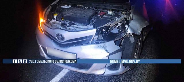 В Речицком районе водитель сбил кабана - пострадал пассажир В Речицком районе водитель сбил кабана - пострадал пассажир
