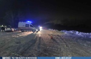 В Гомельском районе насмерть сбит пешеход. Водитель скрылся В Гомельском районе насмерть сбит пешеход. Водитель скрылся