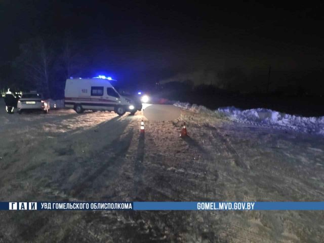 В Гомельском районе насмерть сбит пешеход. Водитель скрылся В Гомельском районе насмерть сбит пешеход. Водитель скрылся