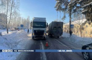 В Минском районе фура насмерть сбила пешехода В Минском районе фура насмерть сбила пешехода