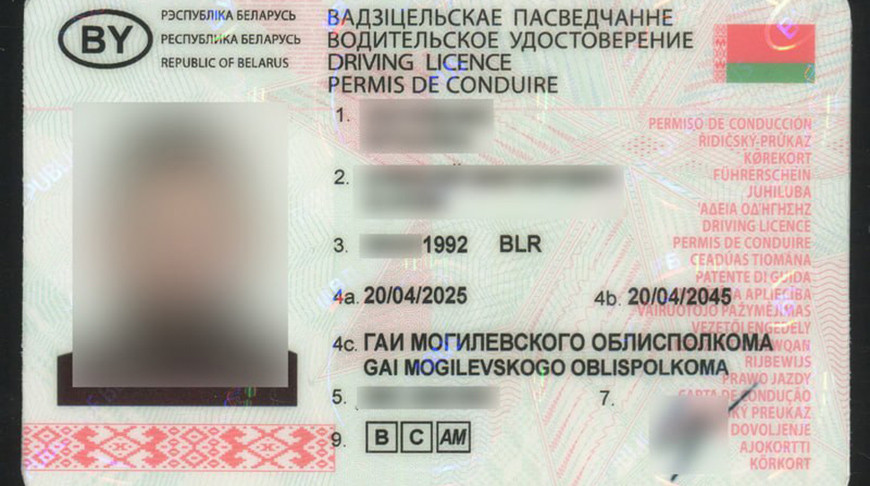 В Бобруйске задержан иностранец за использование поддельных водительских прав: возбуждено уголовное дело