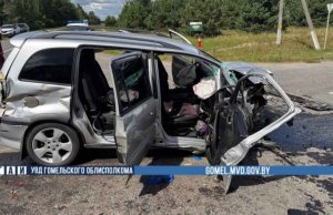 Смертельное ДТП в Лоевском районе с МАЗом: пассажир легкового автомобиля погиб Смертельное ДТП в Лоевском районе: пассажир легкового автомобиля погиб