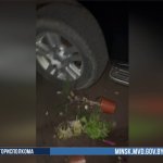 Минчанин сбросил на машину соседа цветочный горшок - мешала сигнализация Минчанин сбросил на машину соседа цветочный горшок - мешала сигнализация