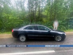 В Гродно раскрыли угон Audi оставленного на СТО В Гродно раскрыли угон Audi оставленного на СТО