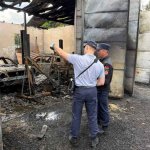 В Могилеве сгорел автосервис вместе с двумя автомобилями