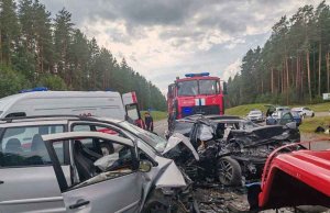 В смертельном ДТП на трассе М-3 в Докшицком районе погибла пассажирка В смертельном ДТП на трассе М-3 в Докшицком районе погибла пассажирка