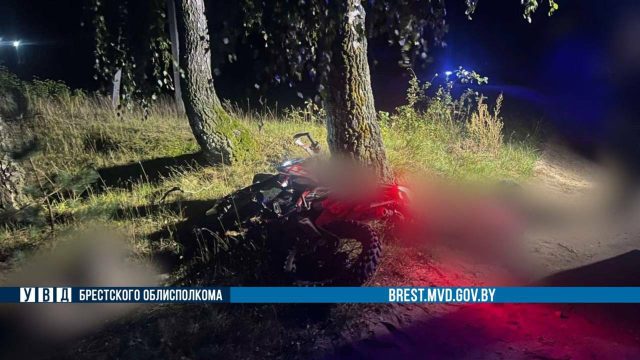 В Пружанском районе мотоциклист погиб врезавшись в дерево В Пружанском районе мотоциклист погиб врезавшись в дерево