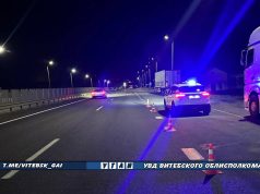 В Оршанском районе пешеход попал под автомобиль и оказался в больнице В Оршанском районе пешеход попал под автомобиль и оказался в больнице