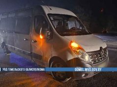 На трассе Р-23 водитель на «Renault Master» насмерть сбил пешехода На трассе Р-23 водитель на «Renault Master» насмерть сбил пешехода