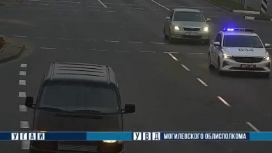 ГАИ Бобруйска помогла роженице оперативно добраться до роддома
